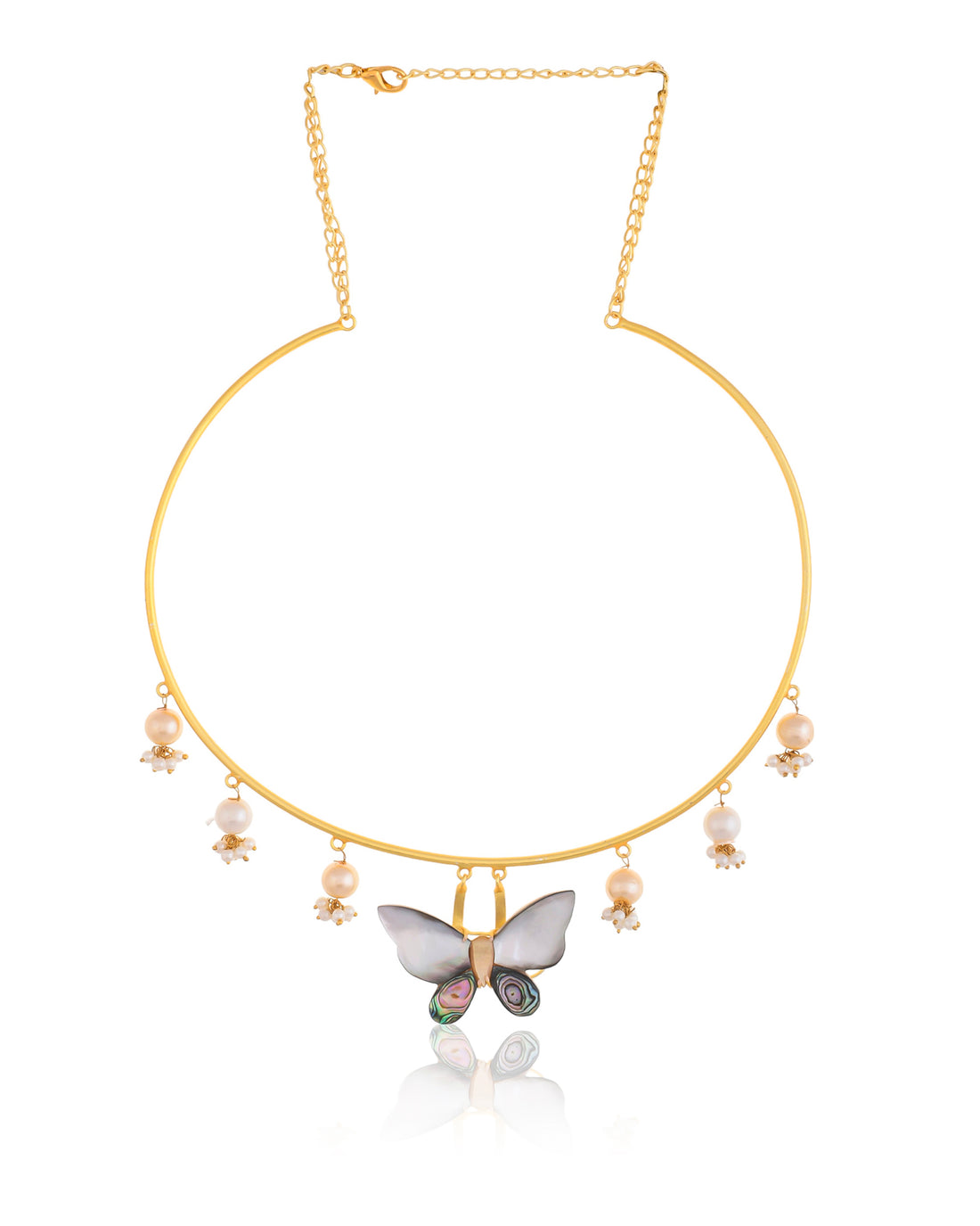 BIRDS IN THE SKY HASLI