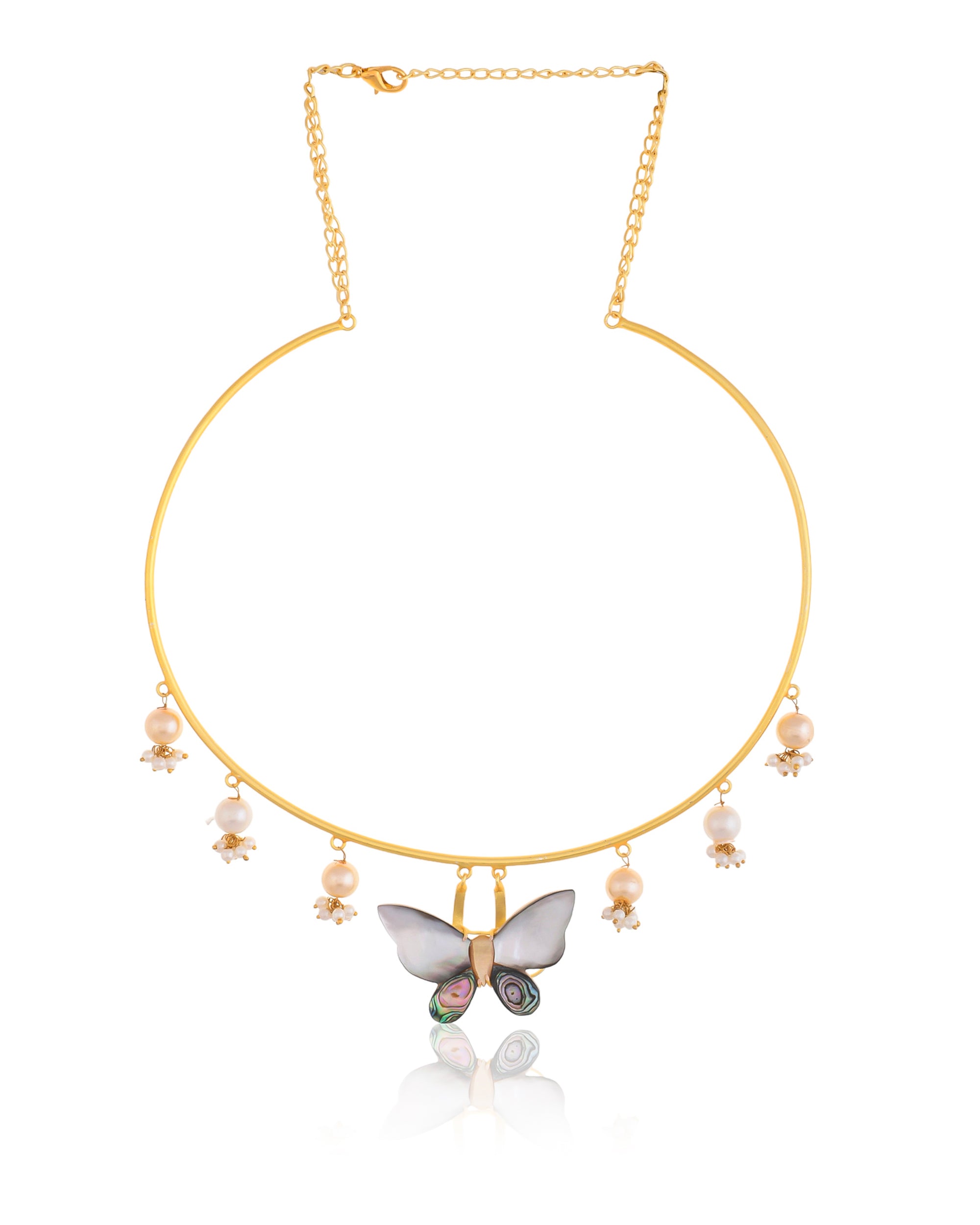 BIRDS IN THE SKY HASLI